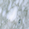 Marble Bianco Brouille