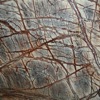 Marble Rain Forest Brown