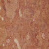 Marmor Rosso Bellini